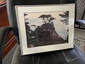 Lone Cypress Framed Photograph