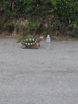Dont delete small turtle statue