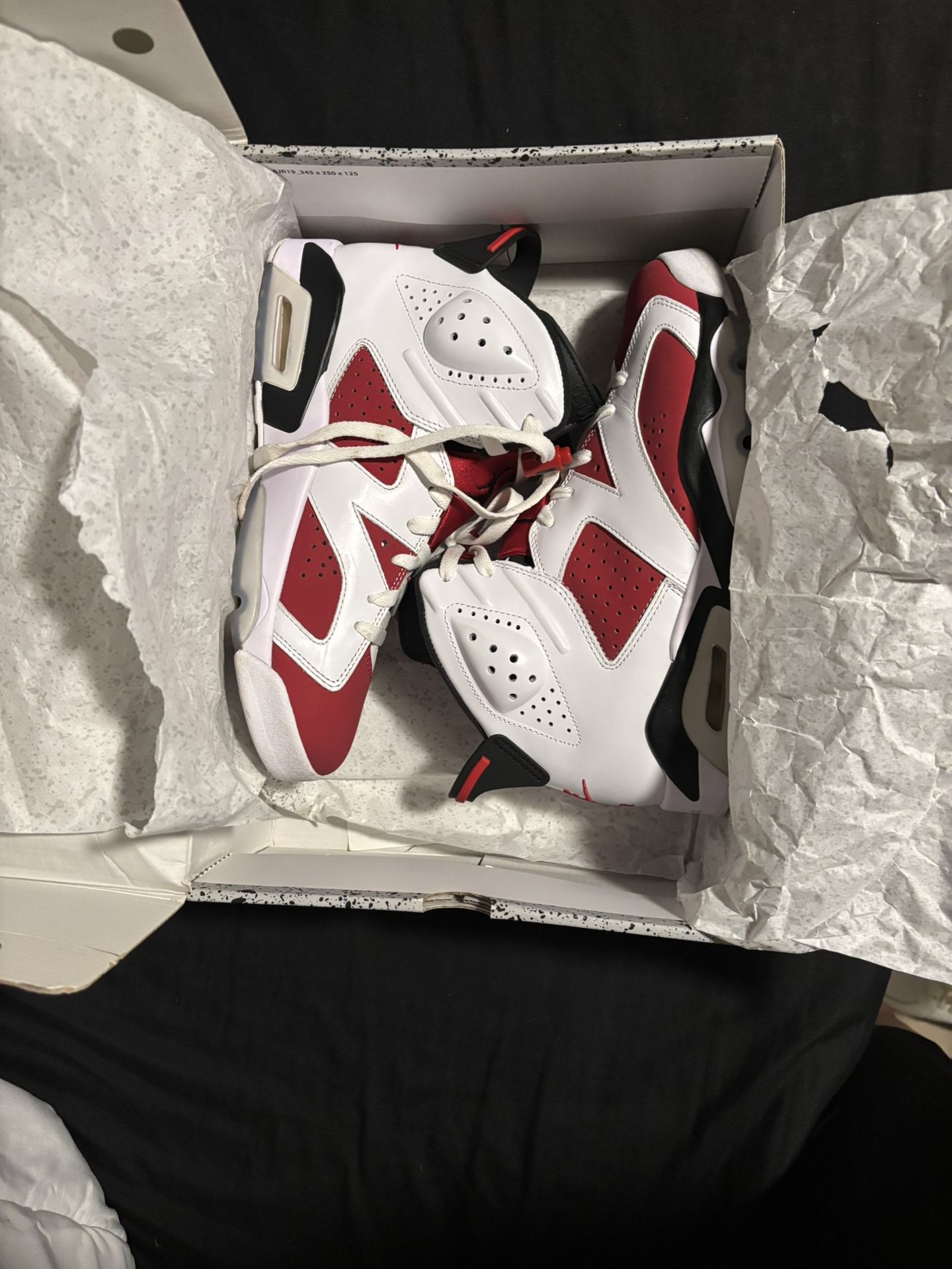 Air Jordan 6 Retro