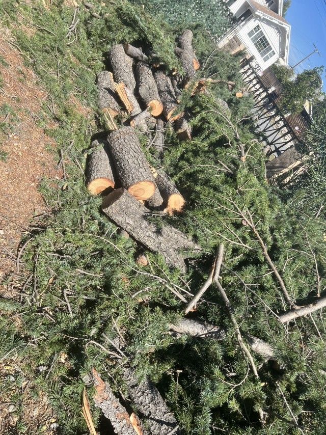 Free Fire Wood In Baldwin Park