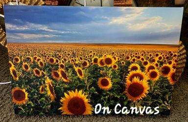 Wall Art on Canvas