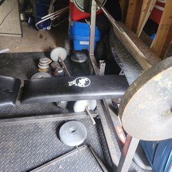 TDS Weight Bench with Various Weights