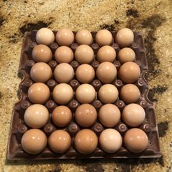 Freshly Laid Farm Eggs