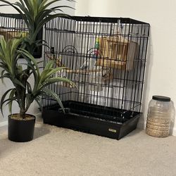 Bird And Bird Cage 