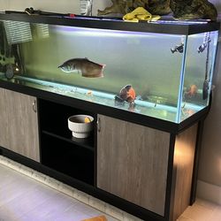 125 gallons fish tank and stand ONLY $500