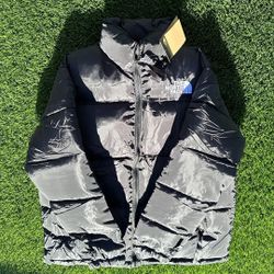 Brand New Large The North Face 1996 Retro Nuptse 700 Down Puffer in Black