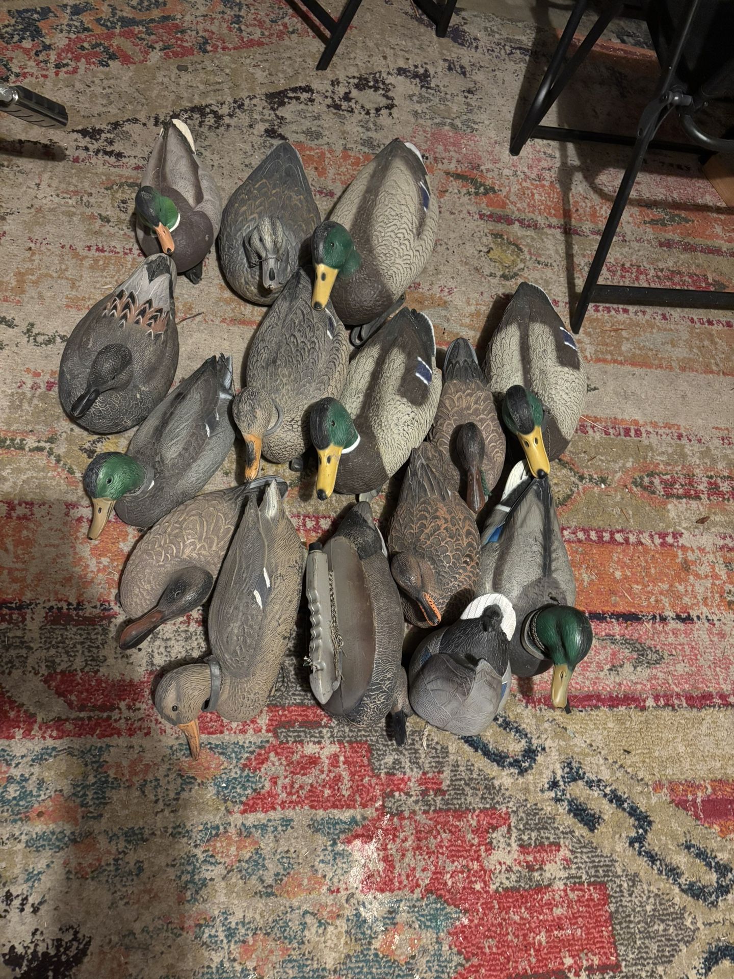 Duck Decoys !! 