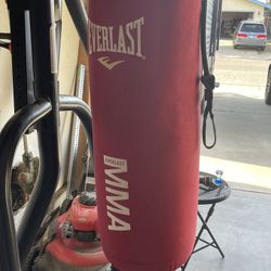 Punching Bag