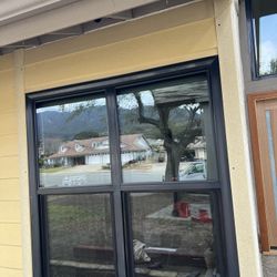 Black Vinyl Windows