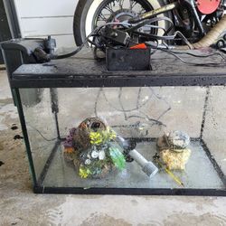 10 Gallon Fish Tank