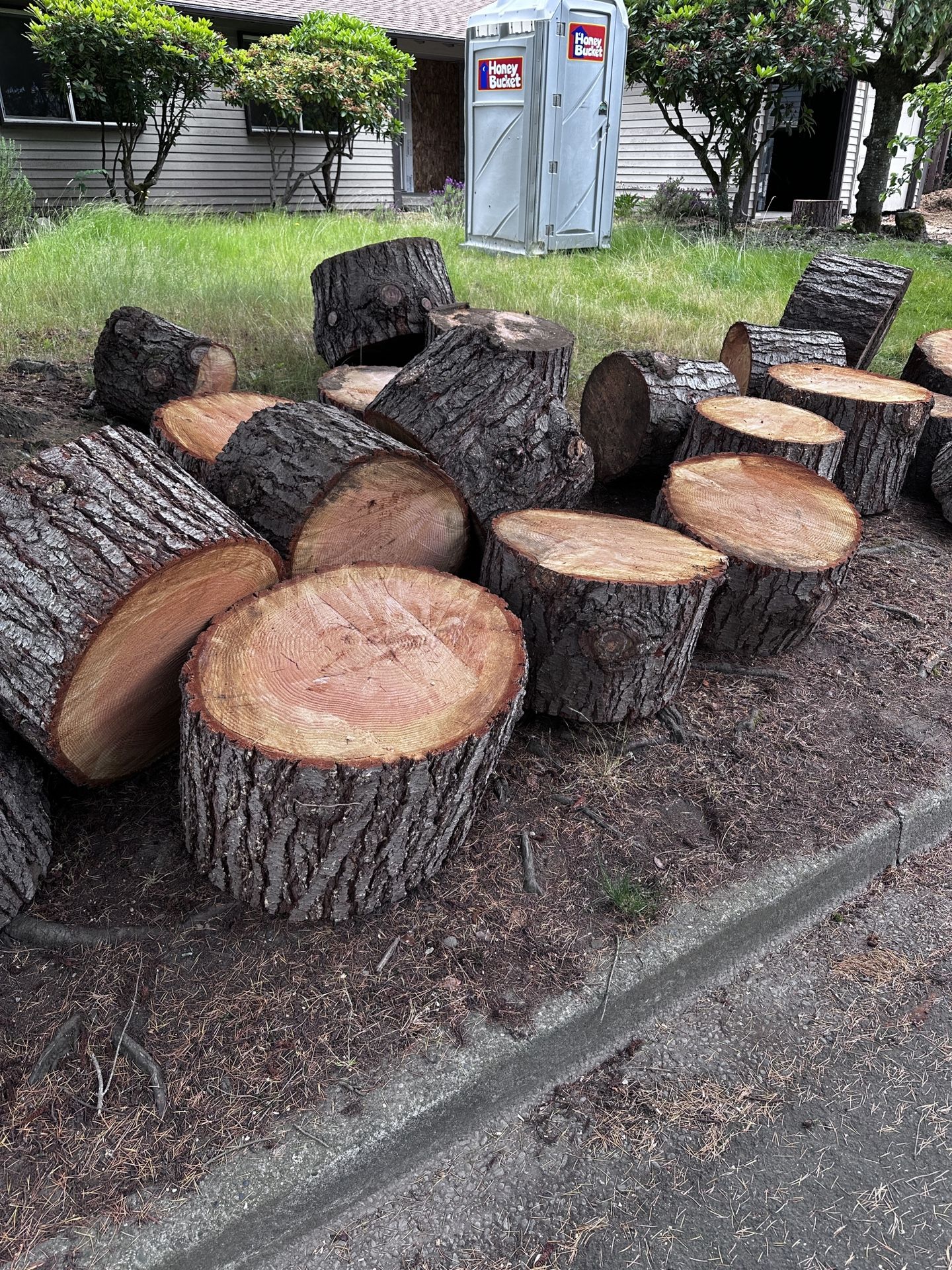 Free Wood Rounds Lumber Fire Wood