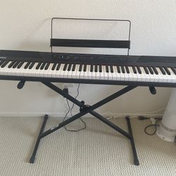 Alesis Recital – 88 Key Digital Piano Keyboard with Semi Weighted Keys