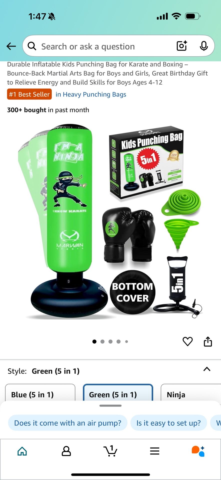 Kids Punching Bag Set
