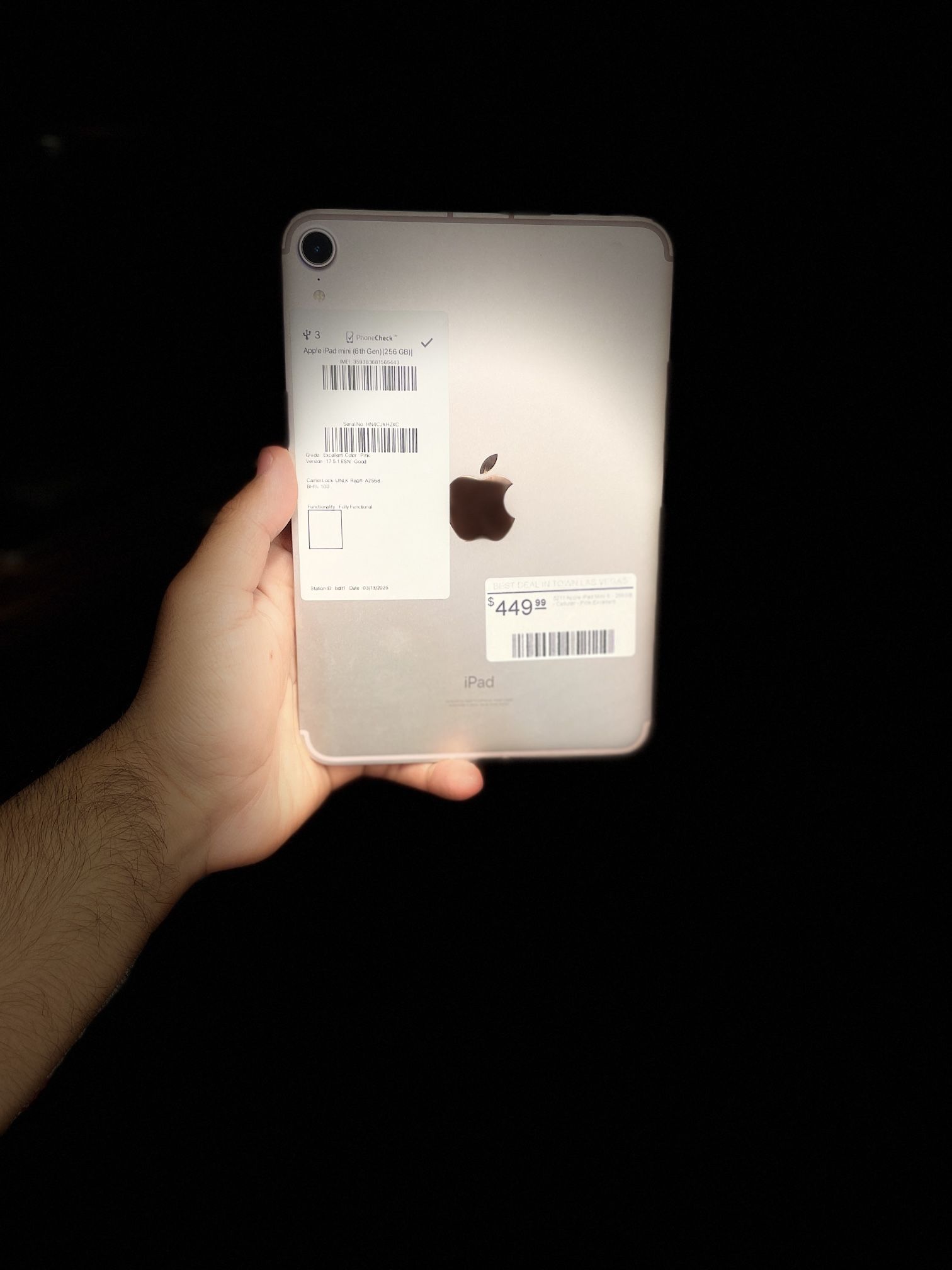 iPad Mini 6th Generation 256GB Cellular WiFi - Pink