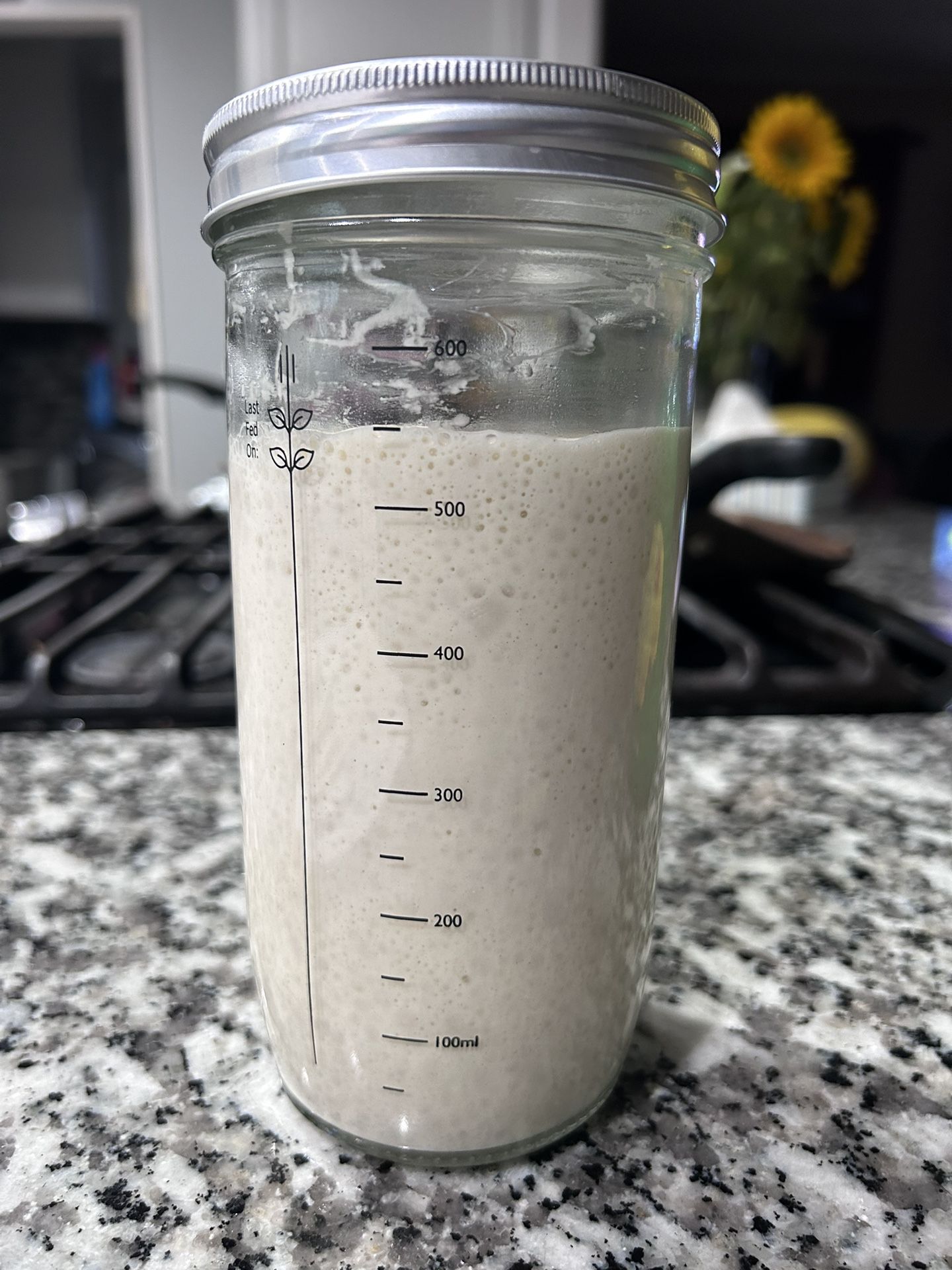 Sourdough Starter For Baking