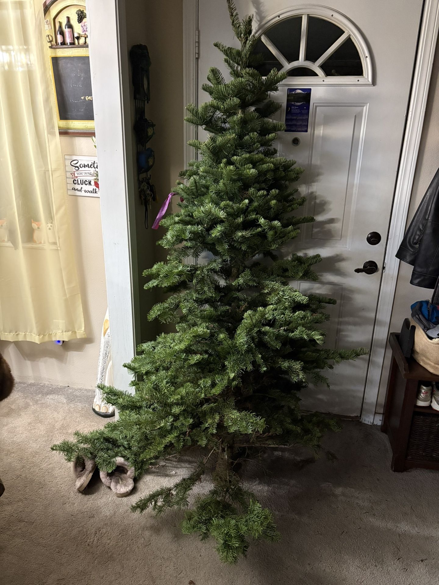 Christmas Tree Noble