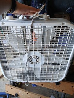 Fan