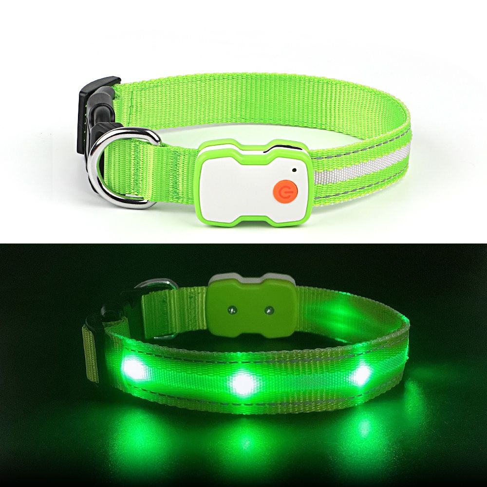 Led Light Dog Collar TC 6230