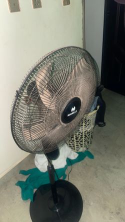 Fan