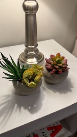 Plant decoration