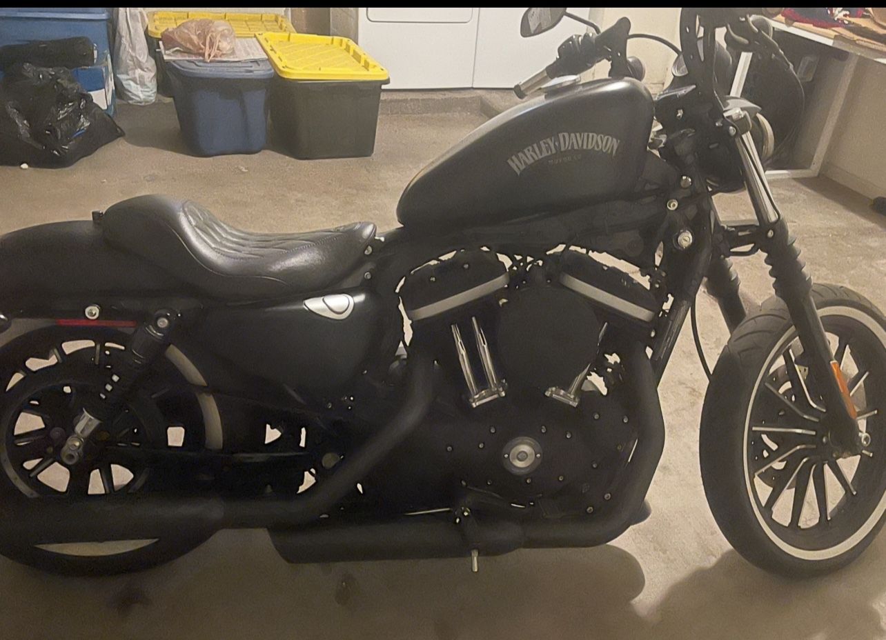 2013 Harley Davidson XI883