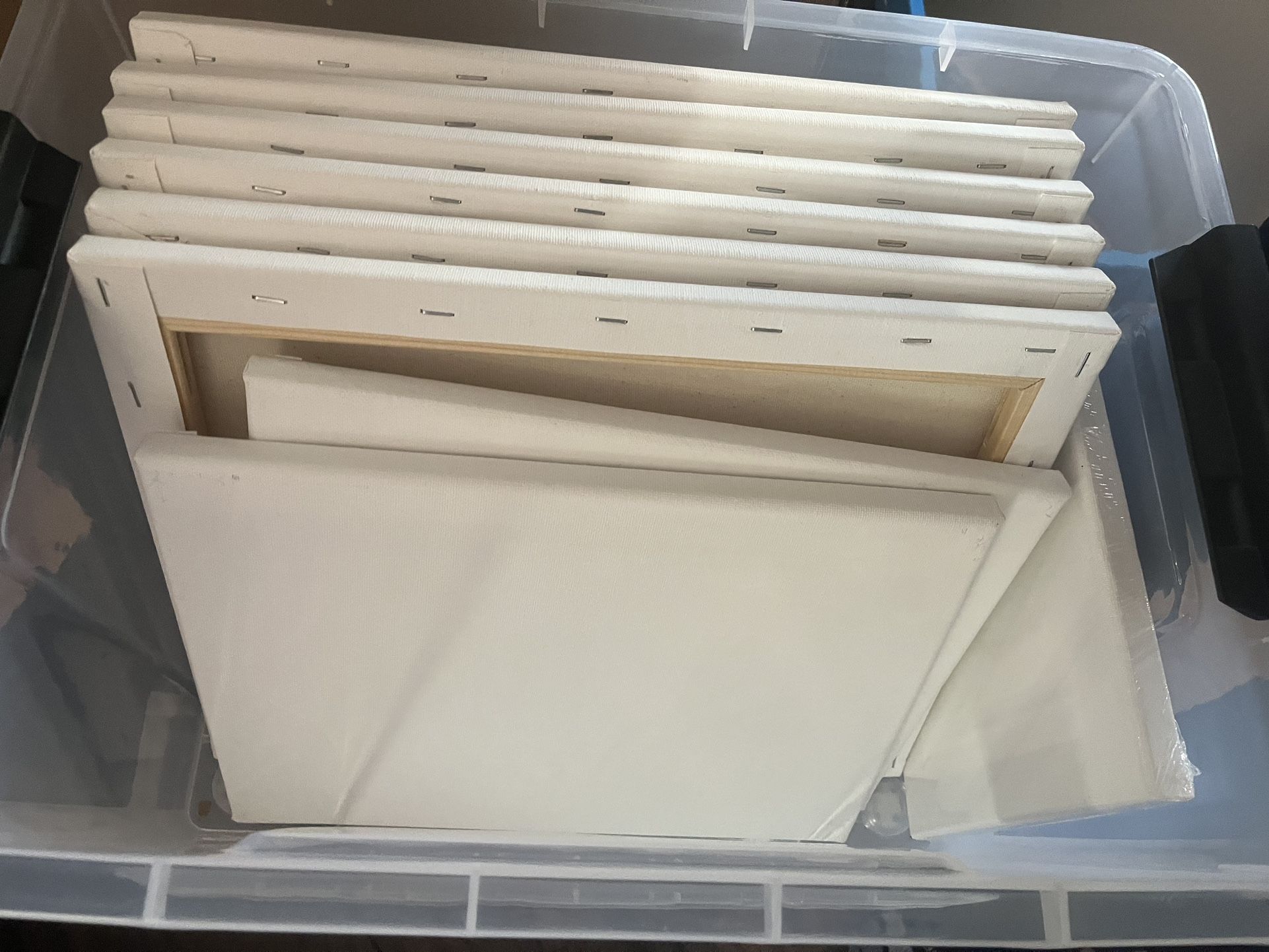 Blank Paint Canvasses
