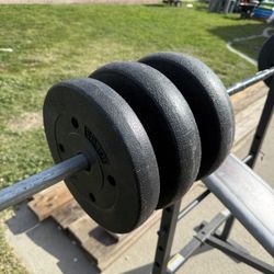 Bench And Weights 