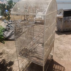 Bird Cage