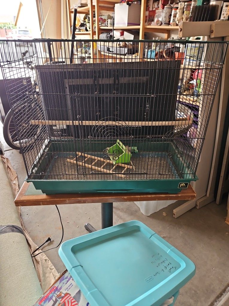 Bird Cage