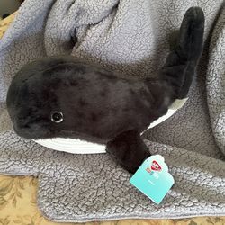 Hug Me Whale