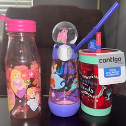 Disney Princess & Contigo bottles