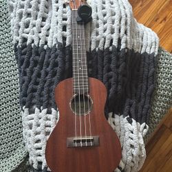 Protege Ukulele