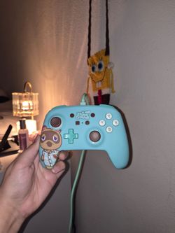 Nintendo Switch Wired Controller