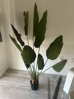 2 faux plants