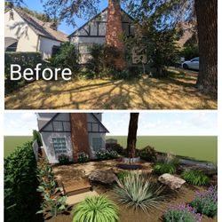 Goose Landscape 2D & 3D