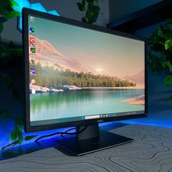 Dell Monitor 