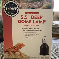 5.5” Deep Dome Lamp A World Thrive Of Wonder