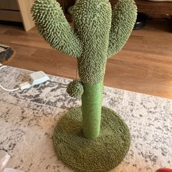 Frisco Cactus Cat Scratching Post, 22-in