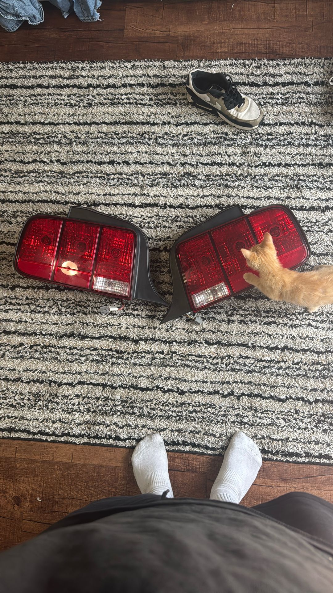 Mustang Lights