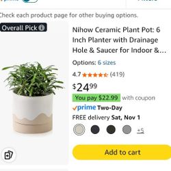 Nihow Ceramic Plant Holder