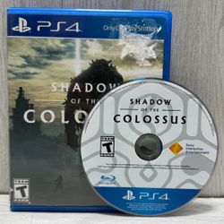Sony PlayStation 4 Shadow of the Colossus Video Game (A1G011876)