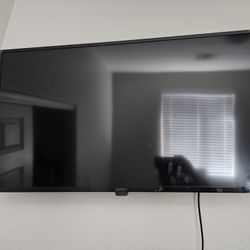 INSIGNIA 42-inch TV  w/ mount 