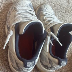 Jordan 11 Retro Low Snake Light Bone