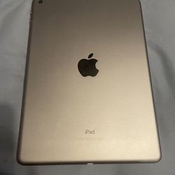 5th Generation iPad