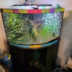 55-60 Tear Drop Shaped Corner Aquarium Fishtank For Sale Or Trade
