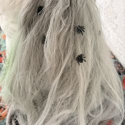 witch wig