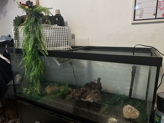 75 Gallon Aquarium With Penn Plax Cascade 400 Gph