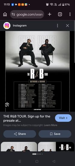 Chris Brown and Usher concert