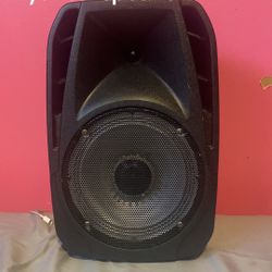 Maxpower Speaker