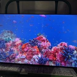 tcl smart tv 55 inch 4k UHD
